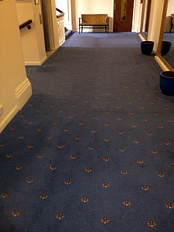 Commercial hotel carpet